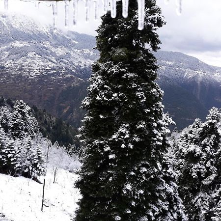 Koutsikouris Hotel Platanakos Dış mekan fotoğraf