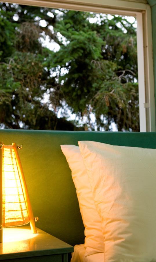 Koutsikouris Hotel Platanakos Dış mekan fotoğraf