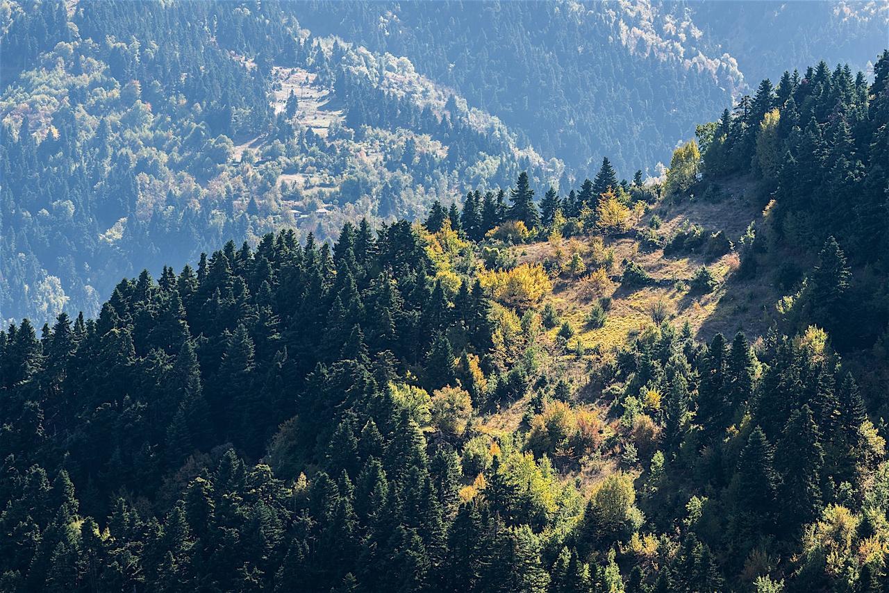 Koutsikouris Hotel Platanakos Dış mekan fotoğraf