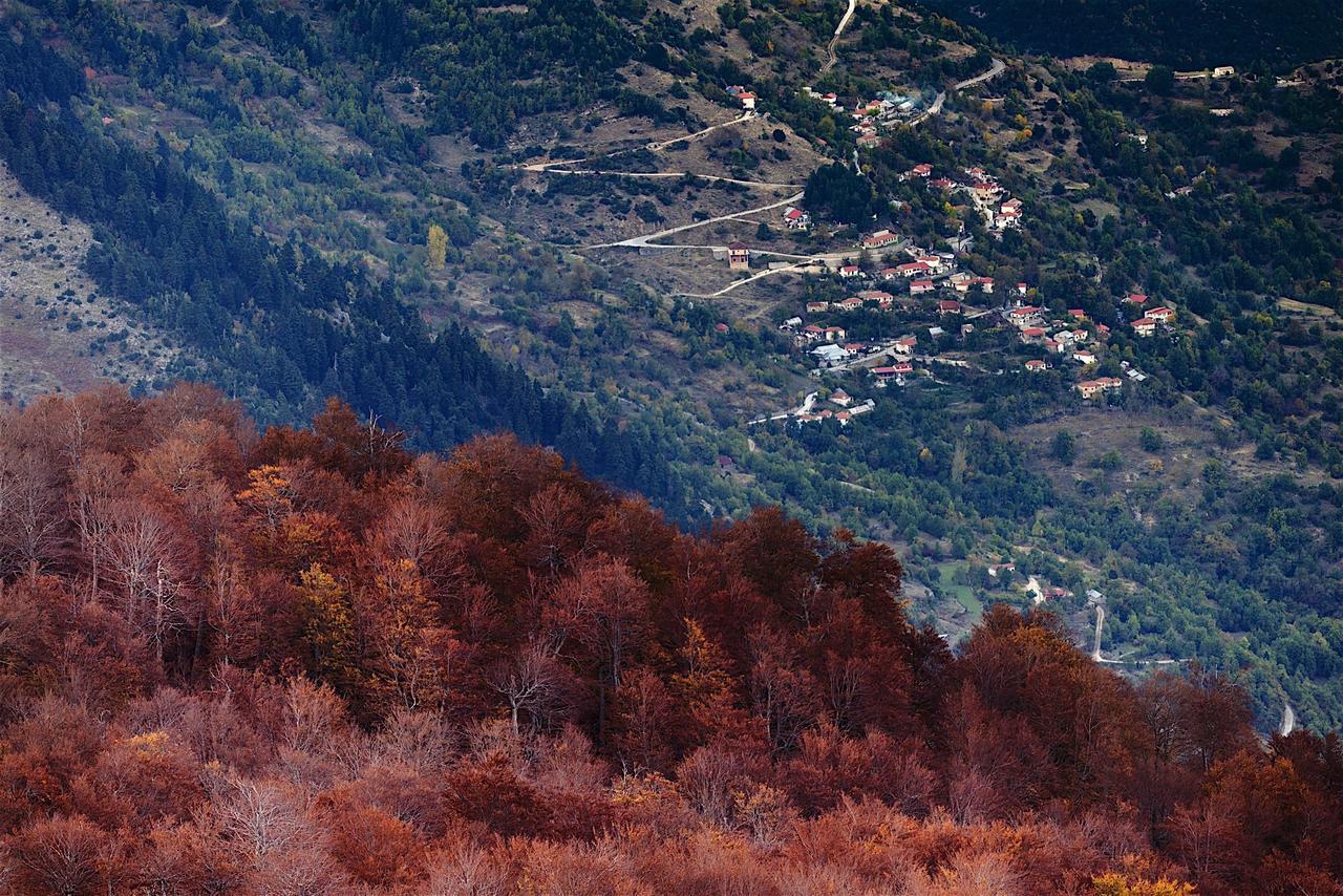 Koutsikouris Hotel Platanakos Dış mekan fotoğraf