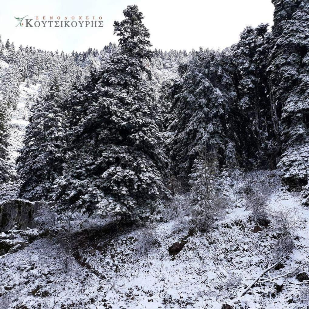 Koutsikouris Hotel Platanakos Dış mekan fotoğraf